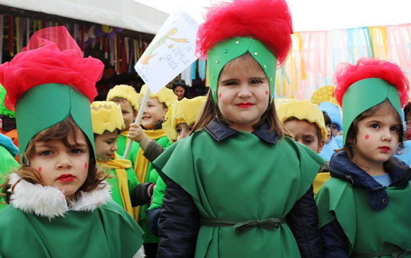 Virski karnevalić 2016. Virski karnevalić 2016.