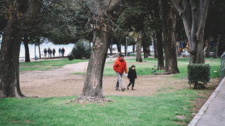 Đir po gradu: Škura bura u Zadru 14. ožujka 2016. Đir po gradu: Škura bura u Zadru 14. ožujka 2016.