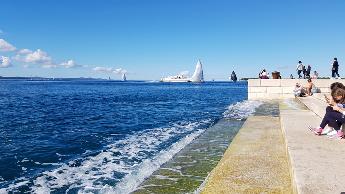 Zadarska Koka 2016. 22. listopada 2016. Foto: Mladen Malik Zadarska Koka 2016. 22. listopada 2016. Foto: Mladen Malik