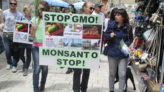 Prosvjed protiv Monstanta u Zadru