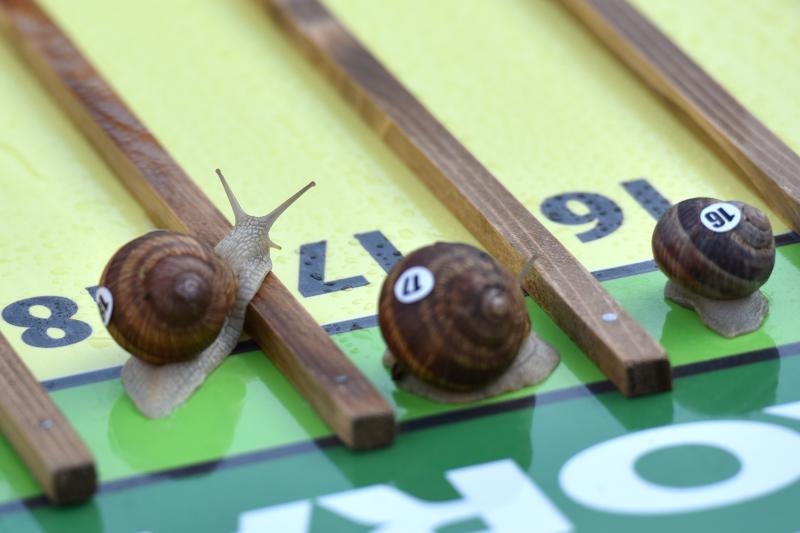 U sklopu Benkovackog kulturnog ljeta Grad Benkovac i Turisticka zajednica Grada Benkovca vec cetvrtu godinu za redom organiziraju manifestaciju Puzevim korakom. Radi se o gastro manifestaciji pripreme i degustacije puzeva. Posjetitelji su imali prilike d U sklopu Benkovackog kulturnog ljeta Grad Benkovac i Turisticka zajednica Grada Benkovca vec cetvrtu godinu za redom organiziraju manifestaciju Puzevim korakom. Radi se o gastro manifestaciji pripreme i degustacije puzeva. Posjetitelji su imali prilike d