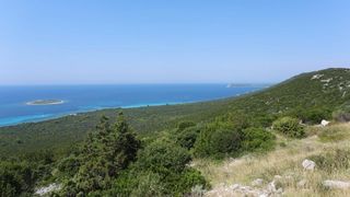 Ljetni dana na dugootočkoj plaži Sakarun, biseru Mediterana s prekrasnim tirkiznim morem, Foto: Filip Brala/PIXSELL Ljetni dana na dugootočkoj plaži Sakarun, biseru Mediterana s prekrasnim tirkiznim morem, Foto: Filip Brala/PIXSELL