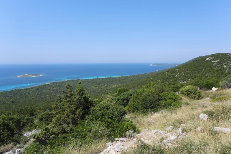 Ljetni dana na dugootočkoj plaži Sakarun, biseru Mediterana s prekrasnim tirkiznim morem, Foto: Filip Brala/PIXSELL Ljetni dana na dugootočkoj plaži Sakarun, biseru Mediterana s prekrasnim tirkiznim morem, Foto: Filip Brala/PIXSELL