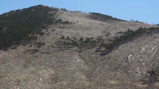 16.03.2014., Juzni Velebit – Topljenje snijega na Juznom Velebitu i procvjetani prvi planinski cvjetovi u ranom proljecu najavljuju skorasnje toplije vrijeme. Photo: Filip Brala/PIXSELL Autor Filip Brala/PIXSELL Ključne riječi rekreacija, planina, pro 16.03.2014., Juzni Velebit – Topljenje snijega na Juznom Velebitu i procvjetani prvi planinski cvjetovi u ranom proljecu najavljuju skorasnje toplije vrijeme. Photo: Filip Brala/PIXSELL Autor Filip Brala/PIXSELL Ključne riječi rekreacija, planina, pro