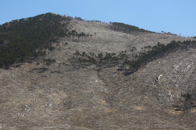 16.03.2014., Juzni Velebit – Topljenje snijega na Juznom Velebitu i procvjetani prvi planinski cvjetovi u ranom proljecu najavljuju skorasnje toplije vrijeme. Photo: Filip Brala/PIXSELL Autor Filip Brala/PIXSELL Ključne riječi rekreacija, planina, pro 16.03.2014., Juzni Velebit – Topljenje snijega na Juznom Velebitu i procvjetani prvi planinski cvjetovi u ranom proljecu najavljuju skorasnje toplije vrijeme. Photo: Filip Brala/PIXSELL Autor Filip Brala/PIXSELL Ključne riječi rekreacija, planina, pro