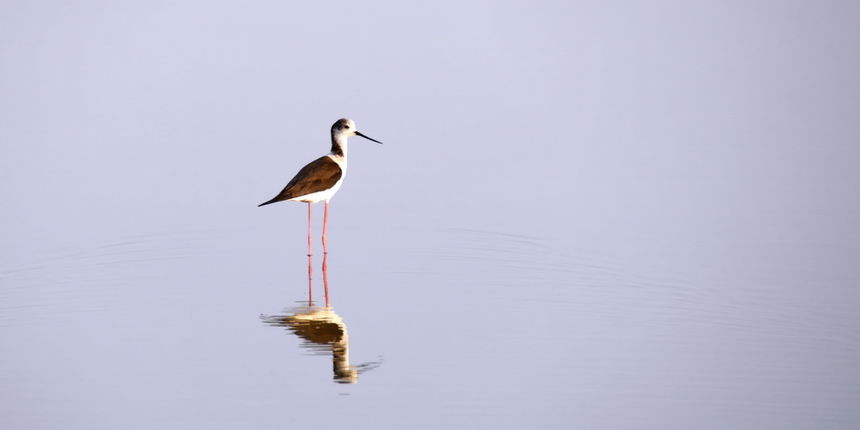 Zaton; solana Nin, foto-L. Kvarantan Zaton; solana Nin, foto-L. Kvarantan