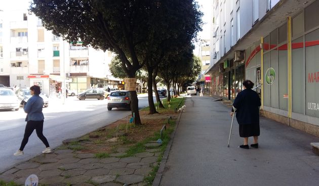 Sadnja eko poruka u ulici Josipa bana Jelačića u Zadru