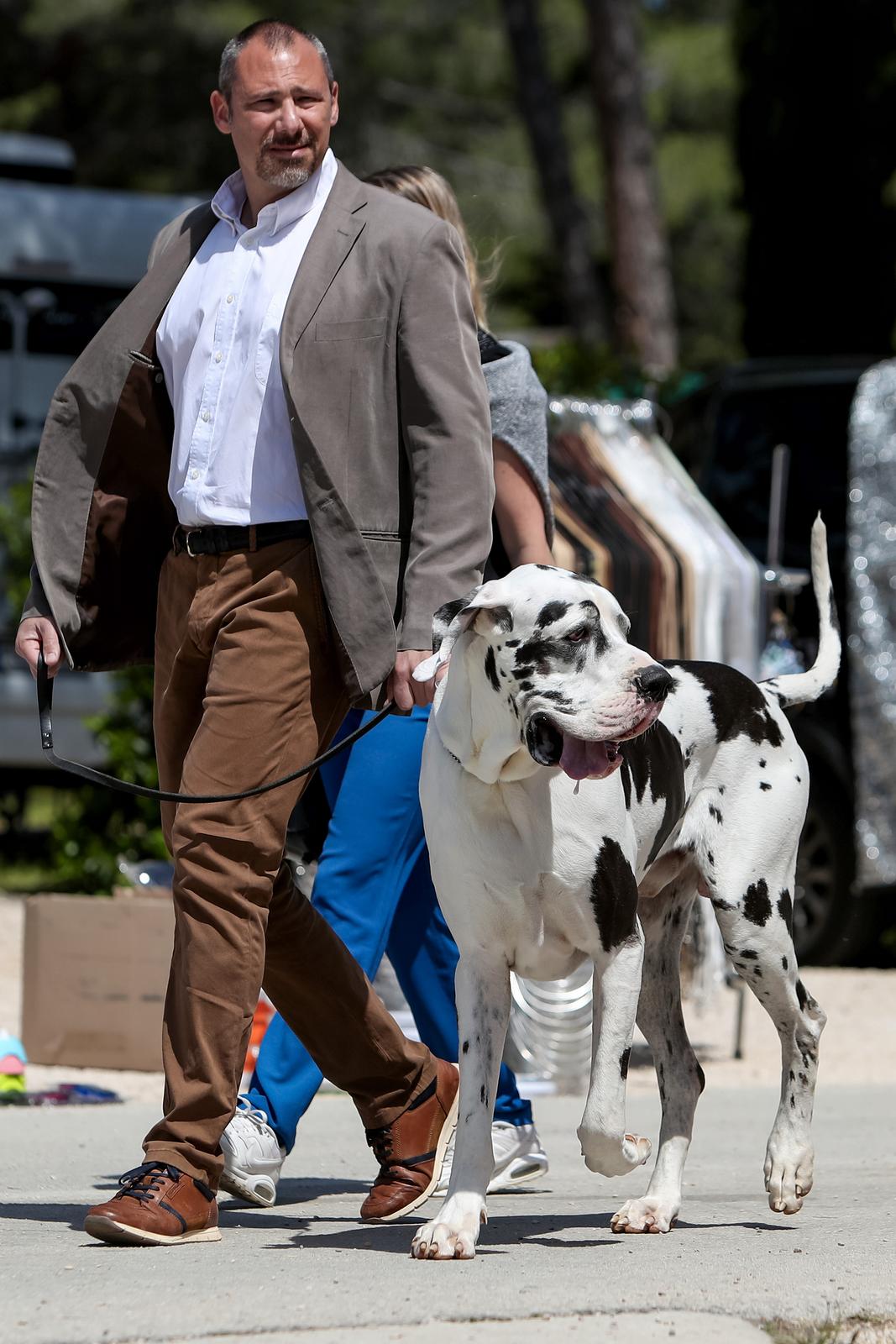 Međunarodna izložba pasa CACIB 2023