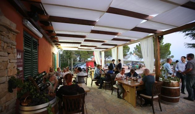 Kraljevski vinogradi