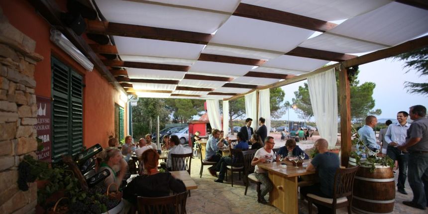 Kraljevski vinogradi