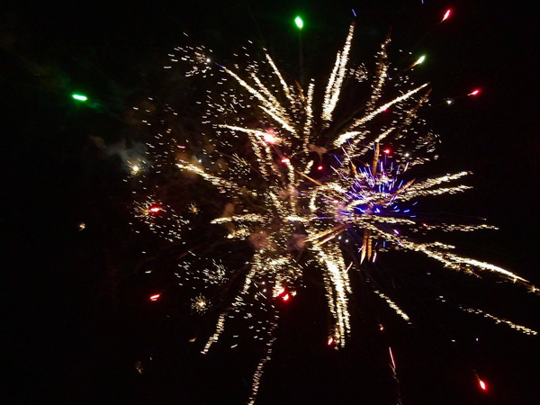 Čeprljandska fešta 2016. Foto: Valentin Bakota Čeprljandska fešta 2016. Foto: Valentin Bakota