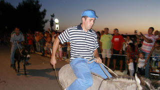 SUKOSAN, 13.08.2007. Trke tovarov, Noc svicarenja, klape Zapivajmo Kasijanu, vatromet