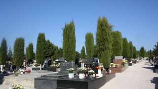 Blagdan Svih Svetih na groblju Belafuža 1. studenog 2011, Foto: Mladen Malik Blagdan Svih Svetih na groblju Belafuža 1. studenog 2011, Foto: Mladen Malik