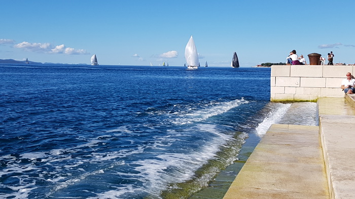 Zadarska Koka 2016. 22. listopada 2016. Foto: Mladen Malik Zadarska Koka 2016. 22. listopada 2016. Foto: Mladen Malik