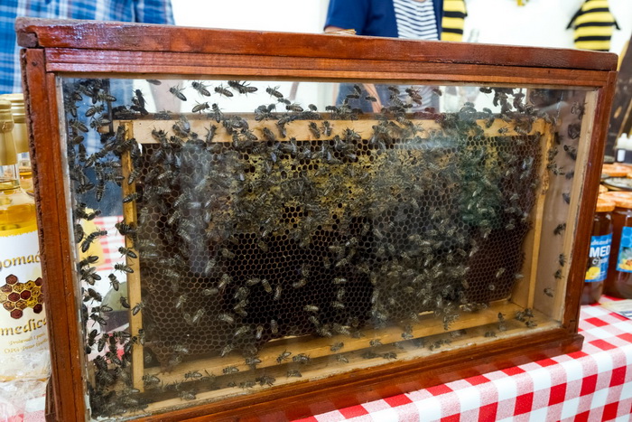 Gradska Loža: Svečano otvorenje 1. Pčelarskog sajma