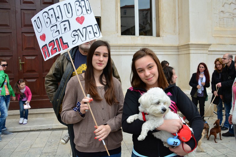 Skup podrške za NO KILL skloništa za životinje,  foto Iva Perinčić