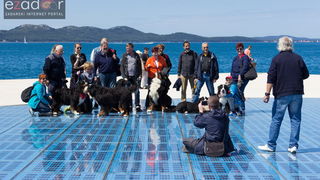 Đir po gradu 29. travnja 2017.