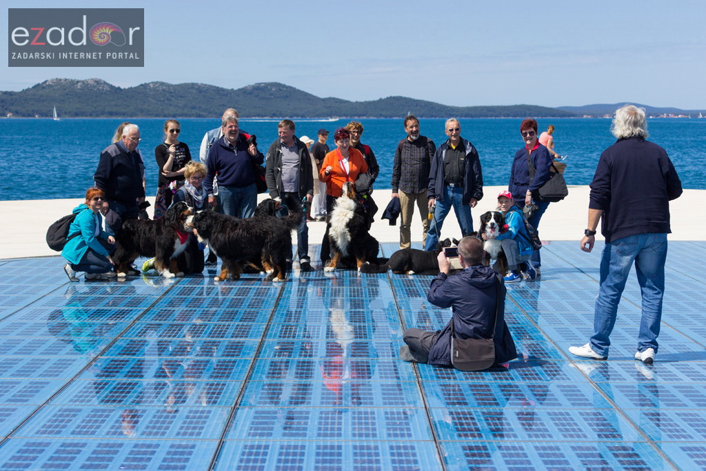 Đir po gradu 29. travnja 2017.