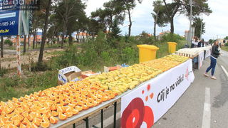 Wings for Life World Run Zadar 2017: Okrjepa u Bibinjama