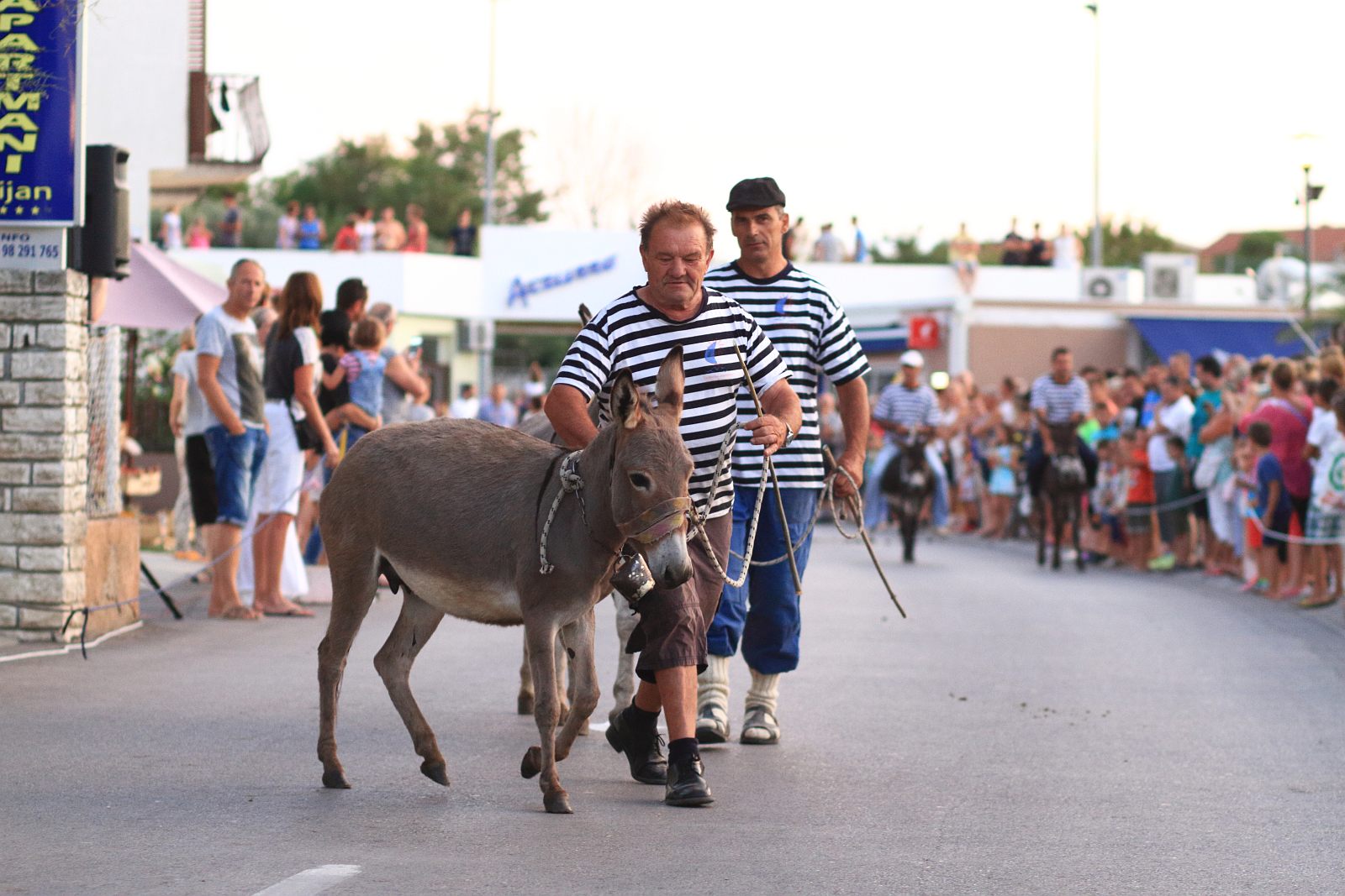 Trka Tovarov – 48. Memorijal Kenje Vijole Sukošan  Photo: Leo Banić