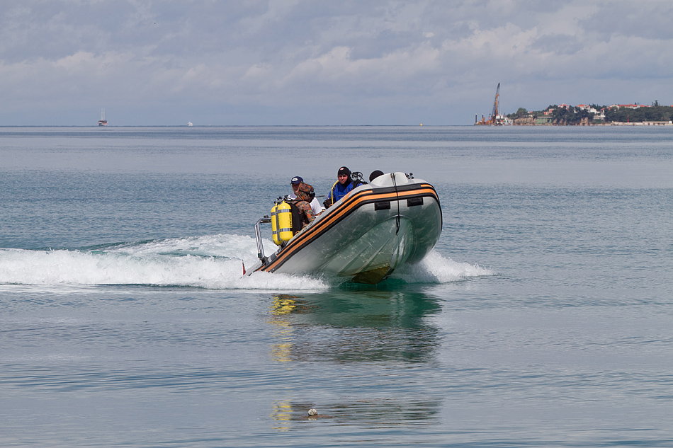 Vježba spašavanja u uvali Jaz, foto: Leo Banić