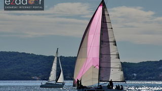 Zadarska koka 2017. Zadarska koka 2017.