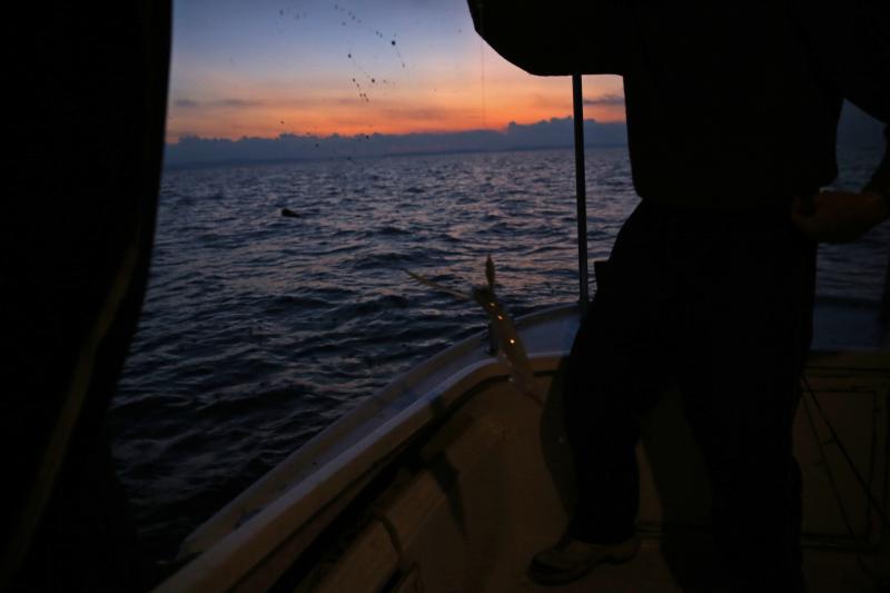 22.12.2013., Zadar – Neobicno toplo vrijeme za prve dane zime dodatni je poticaj za otisnuti se na more i uloviti koju lignju za Badnju vecer. Iako zbog oseke gotovo da nisu mogli isploviti, dva Privlacanca na nedjeljno poslijepodne udaljila su se od ob