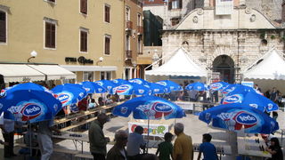 Saša Martinović – 1 protiv 50 Saša Martinović – 1 protiv 50