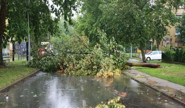 Osijek – Posljedice olujnog nevremena, poplavljene ceste i srusena stabla. Photo: Davor Javorovic/PIXSELL