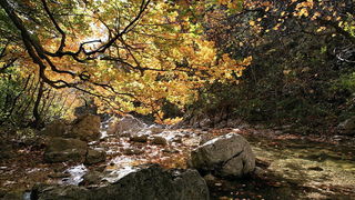 Paklenica: Boje jeseni, Foto: Mladen Radolovic Mrlja