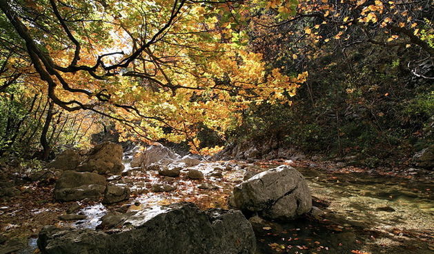 Paklenica: Boje jeseni, Foto: Mladen Radolovic Mrlja