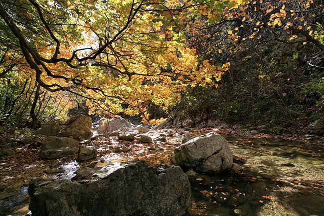 Paklenica: Boje jeseni, Foto: Mladen Radolovic Mrlja
