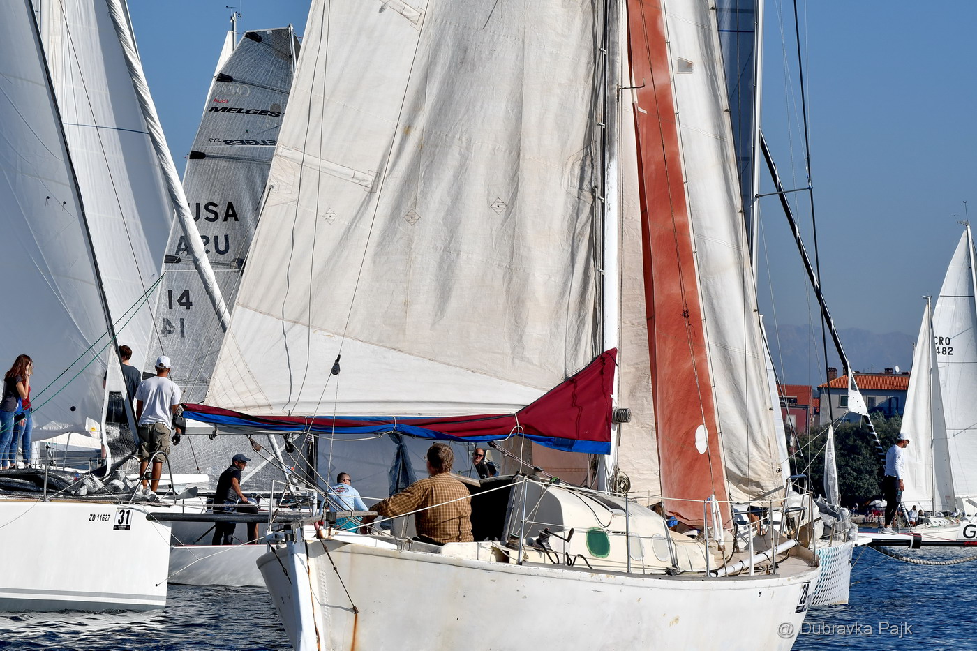 Sva lica “Zadarske koke” Sva lica “Zadarske koke”