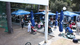 Plivacki miting “Zadar 2008.”