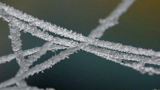 Zbog jutarnjih temperatura u minusu raslinje na kontinentu je prekriveno injem