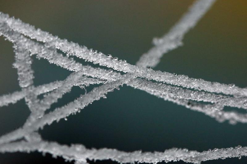 Zbog jutarnjih temperatura u minusu raslinje na kontinentu je prekriveno injem