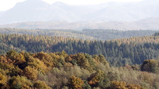 Varazdin, 301010.
Na podrucju brdovitog dijela opcine Vinice, koja je udaljena petnaest-ak kilometara od Varazdina ovih dana se moze vidjeti predivan spektar boja koje su nam dostupne samo nekoliko dana u godini.
Naime, pocetak opadanja lisca s drveca i p Varazdin, 301010.
Na podrucju brdovitog dijela opcine Vinice, koja je udaljena petnaest-ak kilometara od Varazdina ovih dana se moze vidjeti predivan spektar boja koje su nam dostupne samo nekoliko dana u godini.
Naime, pocetak opadanja lisca s drveca i p