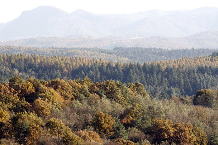 Varazdin, 301010.
Na podrucju brdovitog dijela opcine Vinice, koja je udaljena petnaest-ak kilometara od Varazdina ovih dana se moze vidjeti predivan spektar boja koje su nam dostupne samo nekoliko dana u godini.
Naime, pocetak opadanja lisca s drveca i p Varazdin, 301010.
Na podrucju brdovitog dijela opcine Vinice, koja je udaljena petnaest-ak kilometara od Varazdina ovih dana se moze vidjeti predivan spektar boja koje su nam dostupne samo nekoliko dana u godini.
Naime, pocetak opadanja lisca s drveca i p