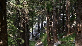 Nedjelja na Zavizanu