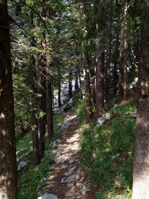 Nedjelja na Zavizanu