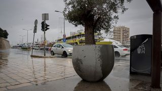 Maslina u velikoj i teškoj tegli preko noći “prošetala” do gradskog mosta Maslina u velikoj i teškoj tegli preko noći “prošetala” do gradskog mosta