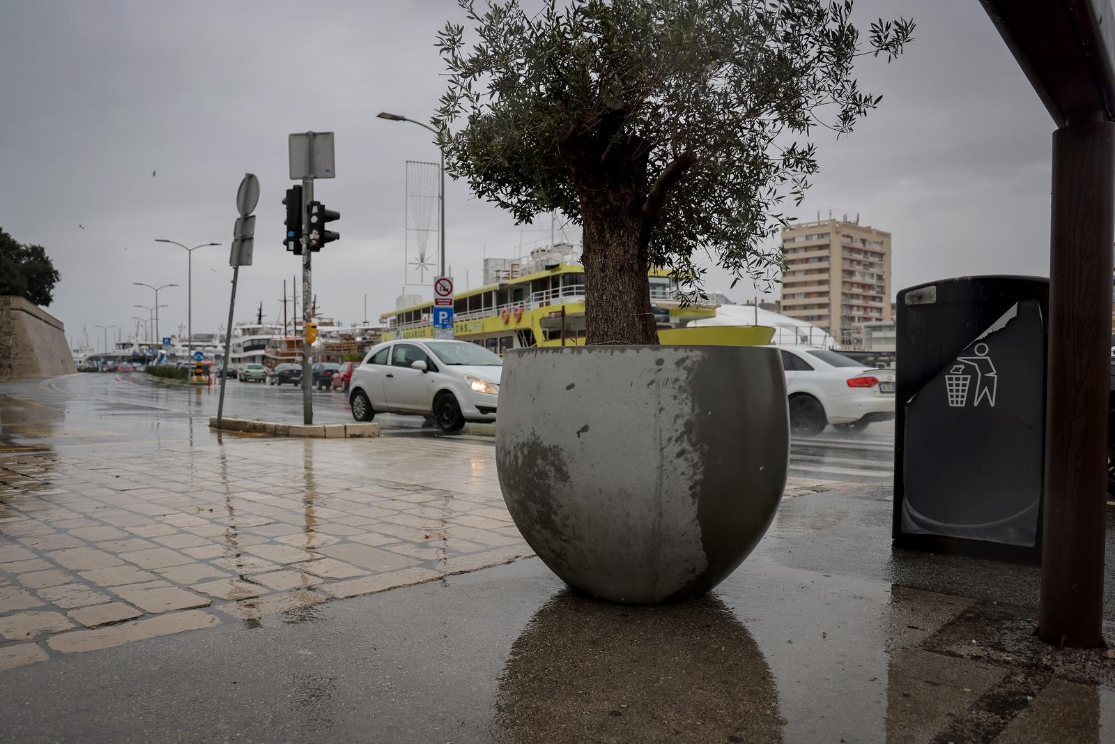 Maslina u velikoj i teškoj tegli preko noći “prošetala” do gradskog mosta Maslina u velikoj i teškoj tegli preko noći “prošetala” do gradskog mosta