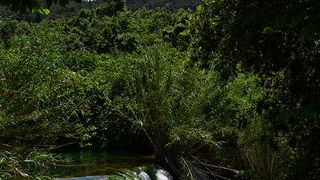 Đir do NP Krka. foto-Iva Perincic