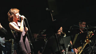 Tribute to Swing 2009. (foto: Marin Gospić)