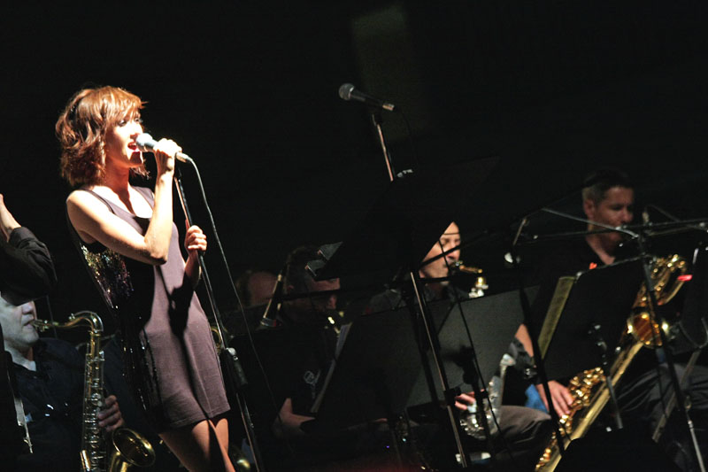 Tribute to Swing 2009. (foto: Marin Gospić)