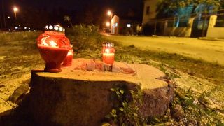 Prosvjed građana zbog odluke Grada da posječe drvored fafarikula u Vruljici Prosvjed građana zbog odluke Grada da posječe drvored fafarikula u Vruljici