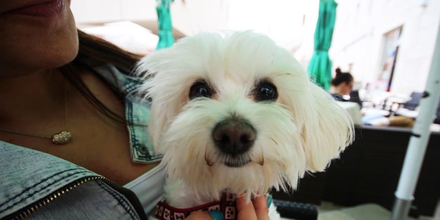 Subotnji šušur u gradu 27. travnja 2013. Foto: Mia Čop Subotnji šušur u gradu 27. travnja 2013. Foto: Mia Čop