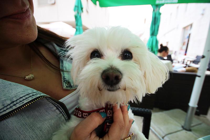 Subotnji šušur u gradu 27. travnja 2013. Foto: Mia Čop Subotnji šušur u gradu 27. travnja 2013. Foto: Mia Čop