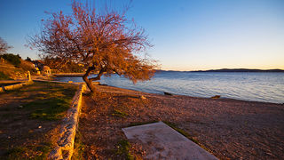 Kolovare  (foto:Saša Čuka)