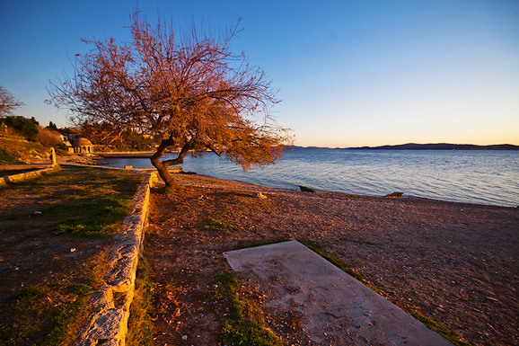 Kolovare  (foto:Saša Čuka)